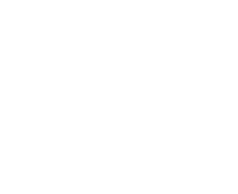 Apex Volleyball Club Logo